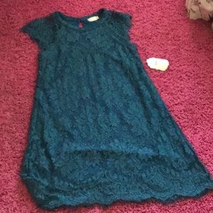 Blue altar’d state dress with amazing detail